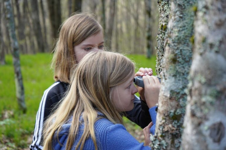 Grandfather Mountain’s ‘Eco Watch’ expands across Avery County