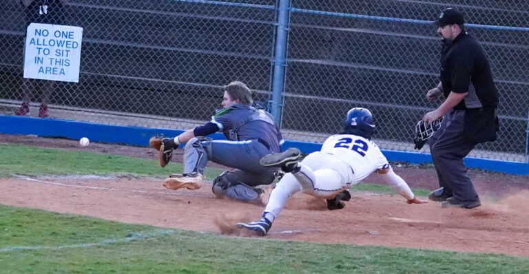 Pioneers drop NWC tourney championship to Cougars, 14-4