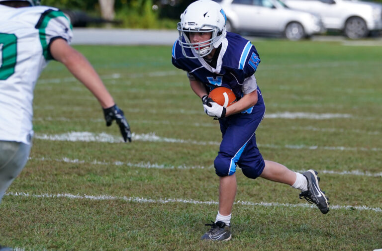 Wolverines walk over Hudson, 46-8