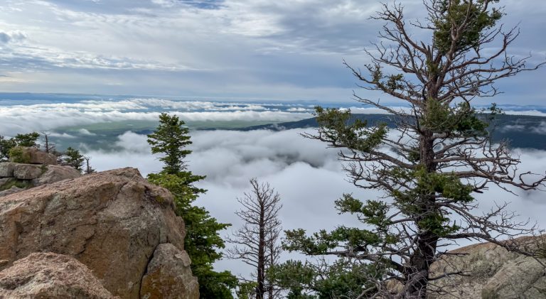 Boy Scout Troop 109: the 2025 Philmont ‘experience of a lifetime’